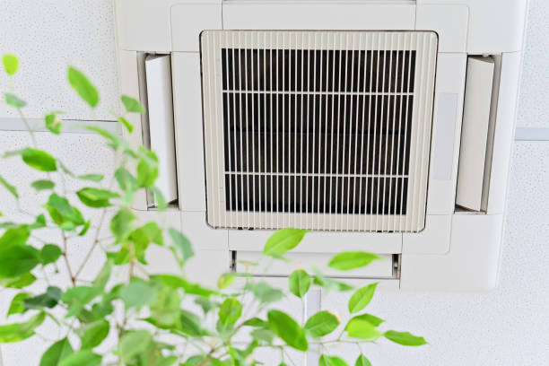 Ventilation Cleaning Services in Paia, HI